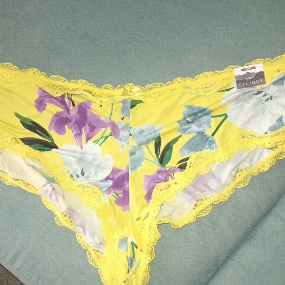Panties Cacique 26/28 4X Cheeky Set of 3 Lace Sheer Mesh Sexy Panty Lane Bryant - Picture 4 of 5